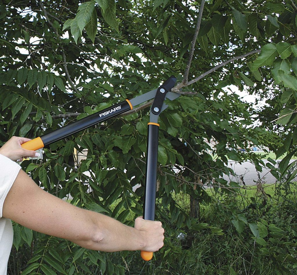 Fiskars Bypass Lopper Review